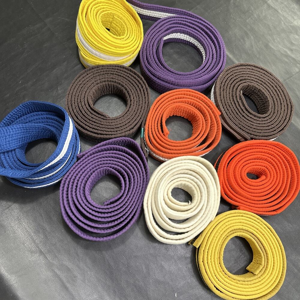 Lot Of 10 Martial Arts Karate Belts, Assorted Colors, Legit, With Stripes